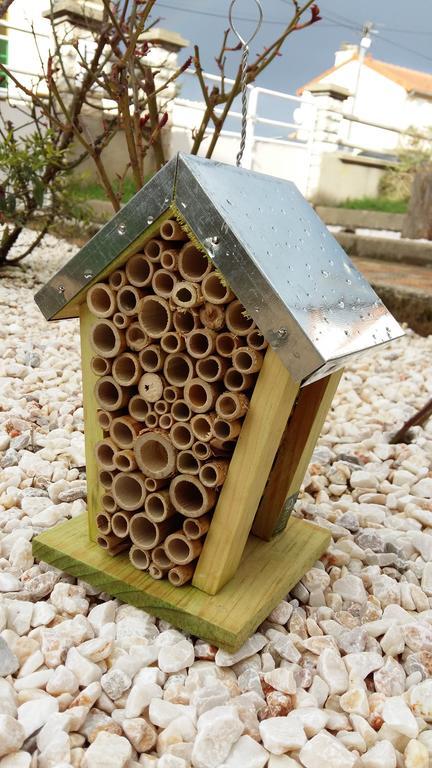 Authentique Gite 1950 Poitiers Futuroscope Aquascope, 1A9Prsn, 3 Pkg, 3 Etoiles A 6Prsn Et 3 Appoints Eco-Responsable Esterno foto